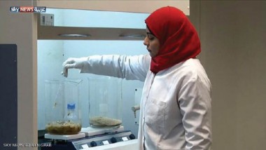 خبراء مصريون يصنعون أول أنموذج لأكياس صديقة للبيئة