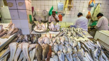 أسماك «الصبور» المهاجرة تنشّط الصيد البحري في المياه العراقية