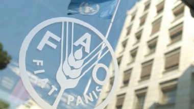 «فاو»: معايير جديدة لحماية المنتجات الزراعية
