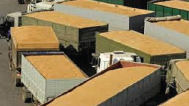 «التجارة» تبحث تسهيل عملية مناقلة الحبوب من الإقليم إلى المحافظات