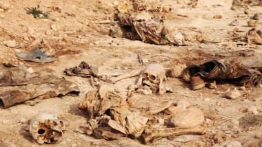 العثور على 10 مقابر جماعية لعسكريين ومدنيين في الحويجة