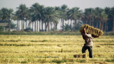 حصاد العراق الاقتصادي في 2017