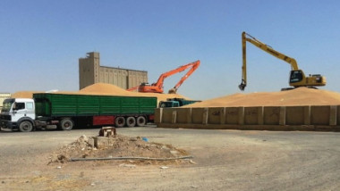 وزارة التجاره تستنفر أسطولها لمناقلة الحنطة المحلية بين المحافظات