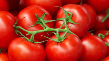 منع استيراد محصول الطماطم في البصرة وميسان لوفرة الإنتاج المحلي