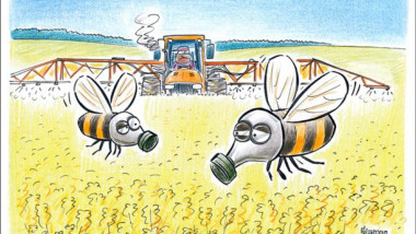 النحل في مواجهة المبيدات الحشرية عن موقع «كارتون سياسي»