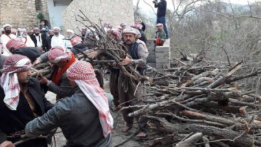 الأيزيديون يجمعون مؤونتهم السنوية من الحطب لـ”لالش”