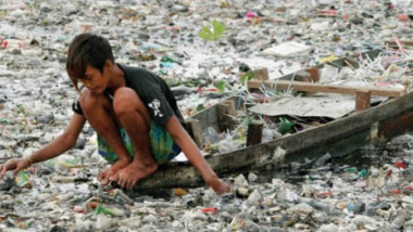 أضرار البلاستيك الكثيرة على البيئة والكائنات الحية