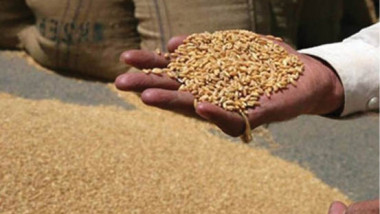 التجارة تناقش تخصيصات تأمين المواد التموينية وشراء الحبوب المحلية
