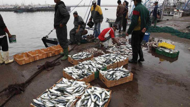 المغرب يتفاوض مع الاتحاد الأوروبي لتجديد اتفاق الصيد البحري