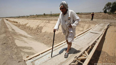 50 % نسبة تضرر القطّاع الزراعي العراقي بسبب الجفاف