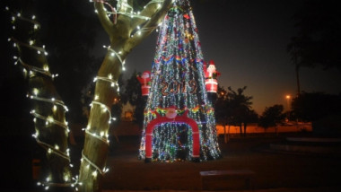 نصب أشجار الميلاد في بغداد إحتفالاً بولادة السيد المسيح