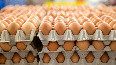 البيض الفاسد للاسواق المحلية