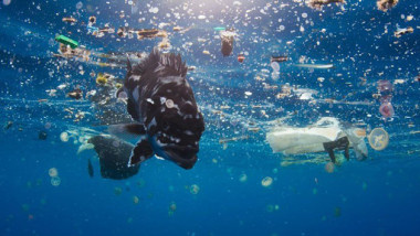 اتفاق أممي لخفض «وباء» البلاستيك في المحيطات