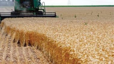 الزراعة النيابية: فرصة لاستثمار مليون دونم في 5 محافظات