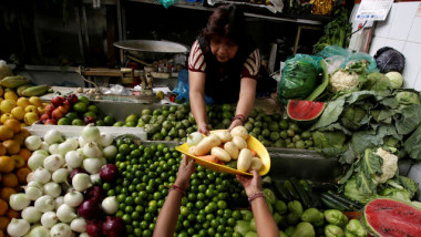 انخفاض أسعار الغذاء العالمية في آذار