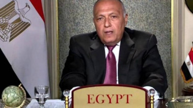 سامح شكري في مجلس الأمن: مصر ترفض تهديد أمنها المائي