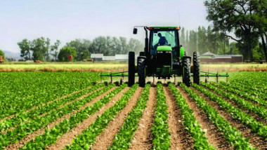 تسهيل اجراءات تخصيص الأراضي الزراعية الخاصة بالاستثمار