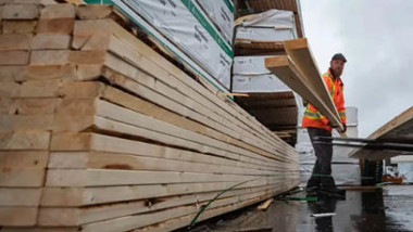 تراجع أسعار الأخشاب يجبر مصانع كندا على تقليص إنتاجها