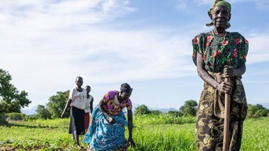 الحرب والجوع والسودان… ثلاثية الموت والرحمة