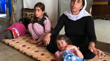 المجلس النرويجي للاجئين في العراق يكشف: ثلثا سكان سنجار نازحون