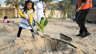 حملة تشجير كبرى في مدارس الديوانية